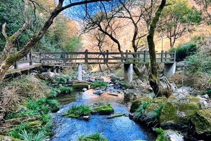 北山淩英手擀麵