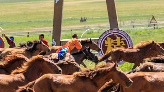 Ba'erhu Folk Custom Park