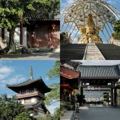 蜜悦·秘野仙踪半山森林餐厅 User Photo