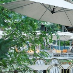 白麓半岛·泰餐厅(麓湖美食岛店) User Photo