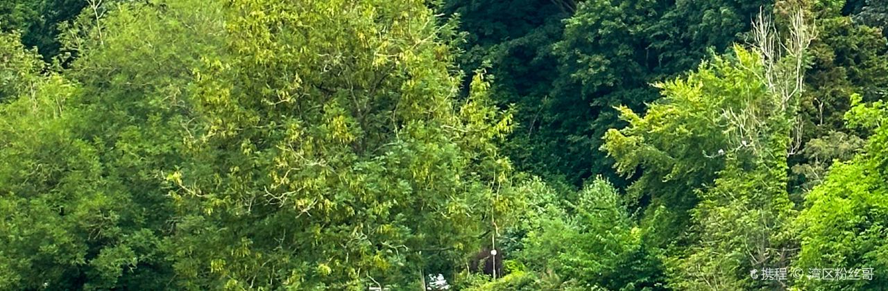 The Allan Water Cafe