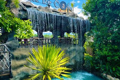 Elefin Farm & Cafe เอเลฟิน ฟาร์ม แอนด์ คาเฟ่