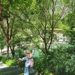 品味农家铜锅馆 User Photo