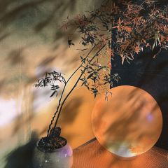 十方SHIFANG·BAR張用戶圖片