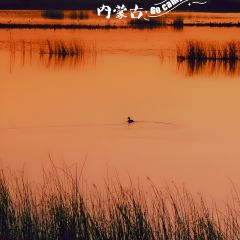 乌梁素海 ảnh của người dùng