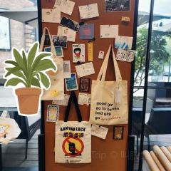 篽箖·上野書屋張用戶圖片