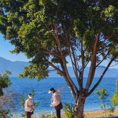 抚仙湖·自在汐岸咖啡餐吧 User Photo