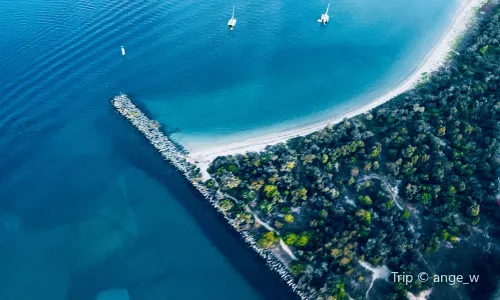 Gold Coast Helitours