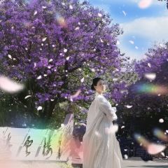 宋记冕宁土菜馆(海滨北路店) User Photo