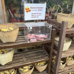 Elefin Farm & Cafe เอเลฟิน ฟาร์ม แอนด์ คาเฟ่ User Photo
