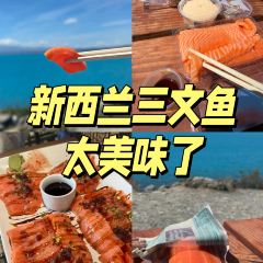Mount Cook Alpine Salmon張用戶圖片