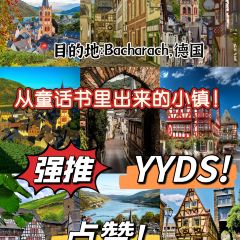 Bacharacher Hof Restaurant 여행 사진
