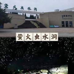 朝陽糝館張用戶圖片