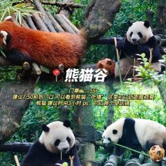 YEU JI XING LONG User Photo