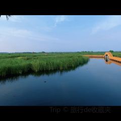 Baiyangdianyufudunza Fish User Photo