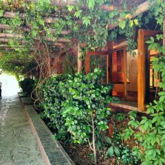 燕子湖农荘 User Photo