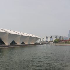 Mango Tree User Photo