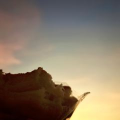 木木喫茶店張用戶圖片