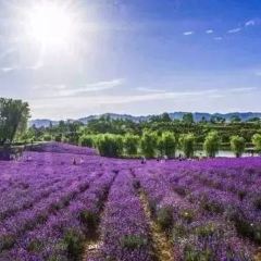 胡氏銀河鮮魚莊（蓮湖路店）張用戶圖片