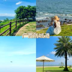 Qingya 여행 사진