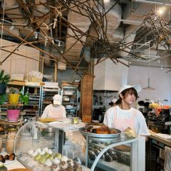 Dacomecca張用戶圖片