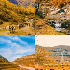 村里香农家菜 User Photo