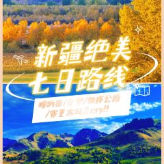 每天春羊羔烤肉店 User Photo