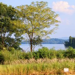 树蛙部落(仙女湖店)·餐厅 User Photo