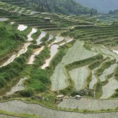 荣村农家乐 User Photo