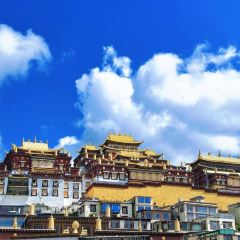 半途而沸 白塔·观景咖啡 User Photo