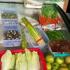 柏泉山庄 User Photo