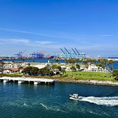 Seneca Trattoria張用戶圖片