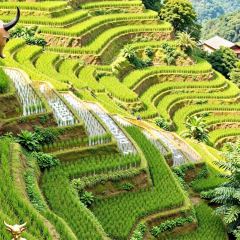 云味餐厅 User Photo