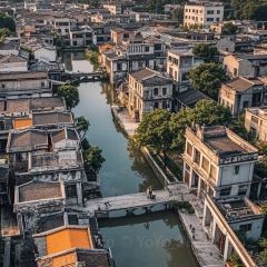 A bao bao zai Rice (huangqi) User Photo