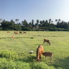 PAN XIAN SHENG HAI XIAN CHENG User Photo