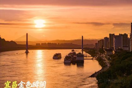 袁姐萝卜饺子(中山路店)