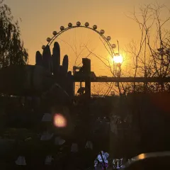 四厂烩面(棉纺路店) User Photo