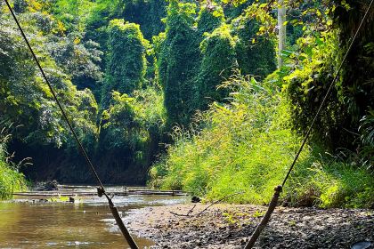 Valley Coffee By Lanna Resort