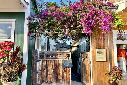 Japanese Grandma's Cafe