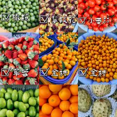 城北综合农贸市场 User Photo