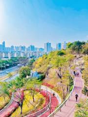 Dajingshan Shequ Park