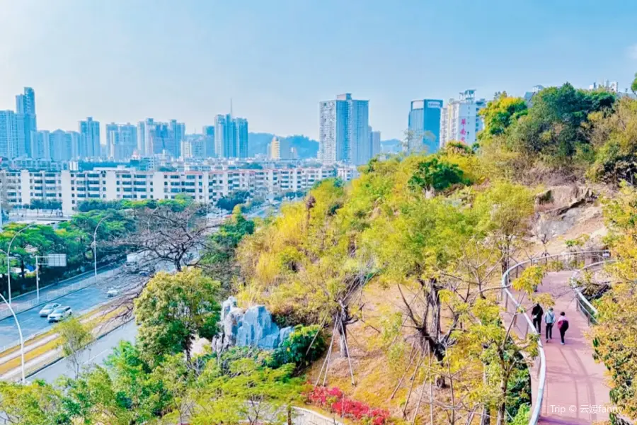 Dajingshan Shequ Park