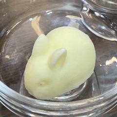 锦品小官 User Photo