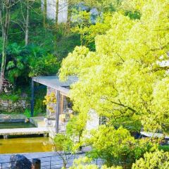北山三十六院溪·詩莉莉飯店·山禾食肆張用戶圖片