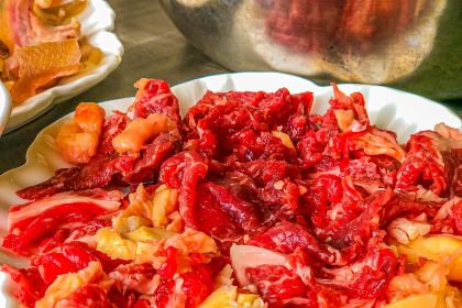 Hong yan qing zhen can guan