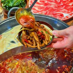 楠火锅(正弘城店) User Photo