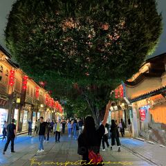 福来花生汤(南后街店) User Photo