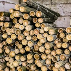 竹雅農莊張用戶圖片