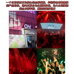 Orangutan Bunker User Photo