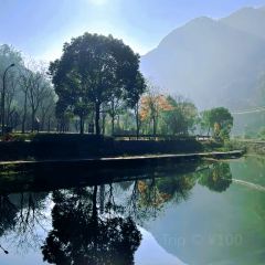 北山淩英手擀麵張用戶圖片